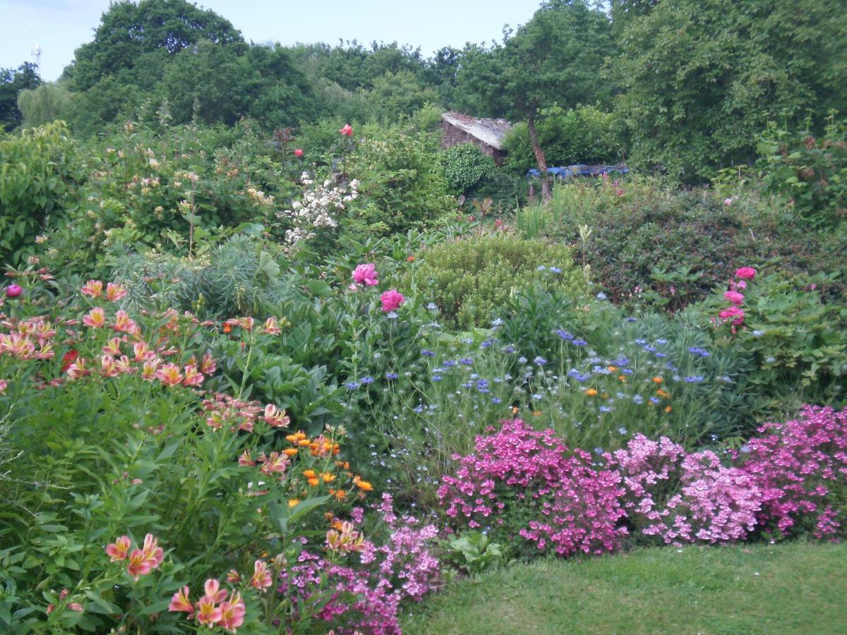 Les Rochettes Bed & Breakfast Erquy Bagian luar foto